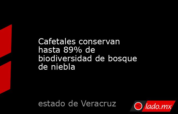 Cafetales conservan hasta 89% de biodiversidad de bosque de niebla. Noticias en tiempo real