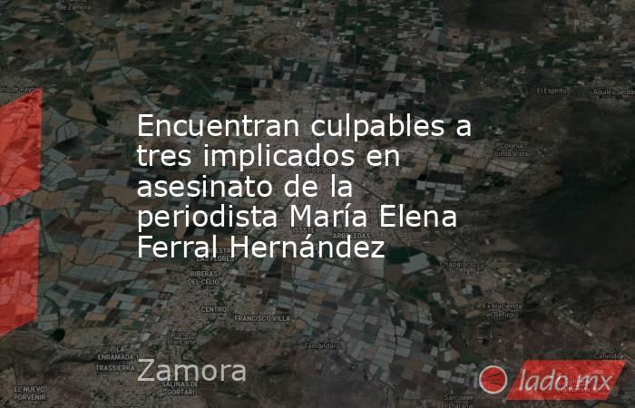Encuentran culpables a tres implicados en asesinato de la periodista María Elena Ferral Hernández. Noticias en tiempo real