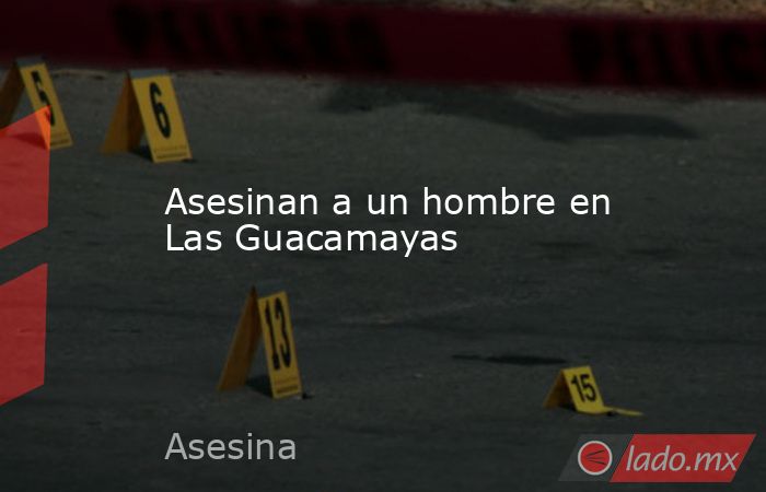 Asesinan a un hombre en Las Guacamayas. Noticias en tiempo real