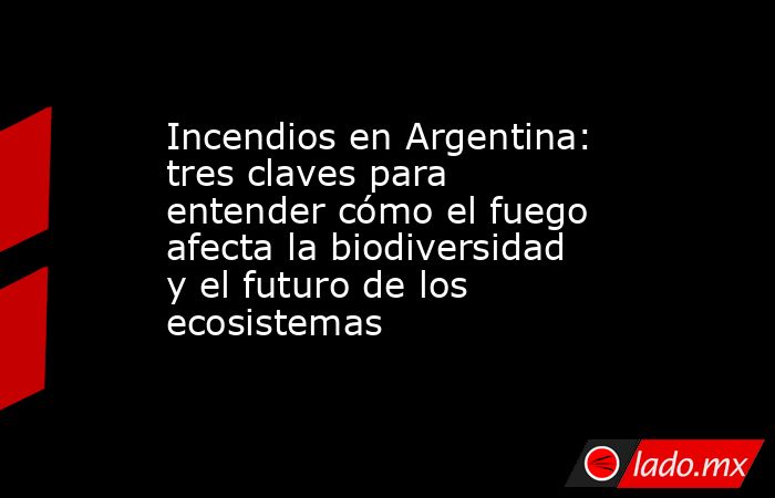 Incendios en Argentina: tres claves para entender cómo el fuego afecta la biodiversidad y el futuro de los ecosistemas. Noticias en tiempo real