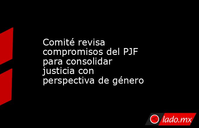 Comité revisa compromisos del PJF para consolidar justicia con perspectiva de género. Noticias en tiempo real