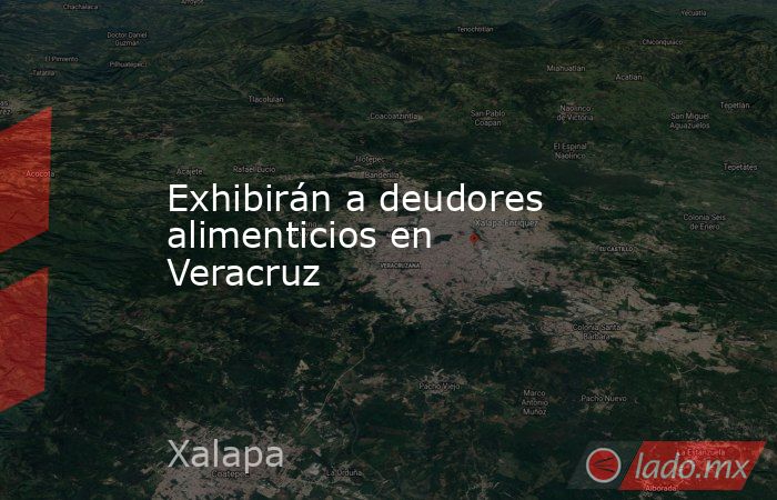 Exhibirán a deudores alimenticios en Veracruz. Noticias en tiempo real