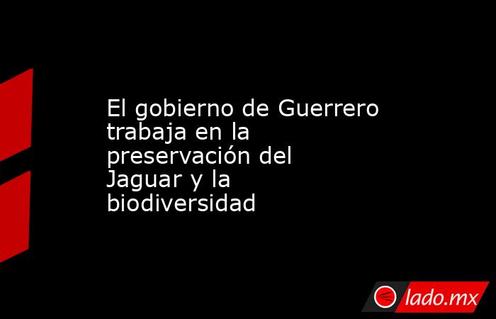 El gobierno de Guerrero trabaja en la preservación del Jaguar y la biodiversidad. Noticias en tiempo real