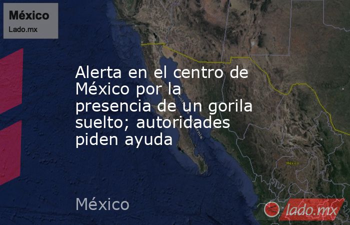 Alerta en el centro de México por la presencia de un gorila suelto; autoridades piden ayuda. Noticias en tiempo real