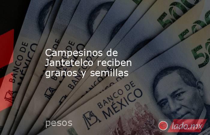 Campesinos de Jantetelco reciben granos y semillas. Noticias en tiempo real