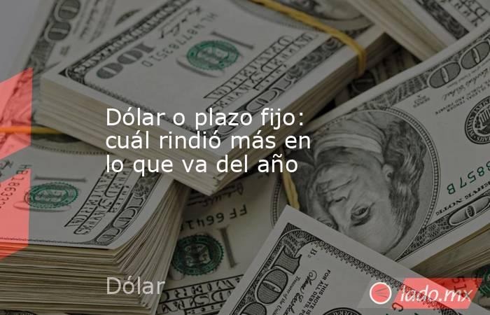 Dólar o plazo fijo: cuál rindió más en lo que va del año. Noticias en tiempo real