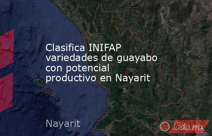 Clasifica INIFAP variedades de guayabo con potencial productivo en Nayarit. Noticias en tiempo real