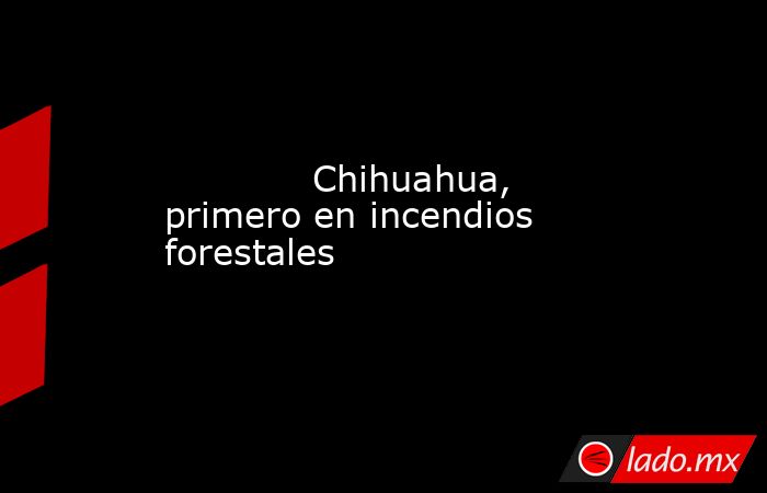             Chihuahua, primero en incendios forestales            . Noticias en tiempo real