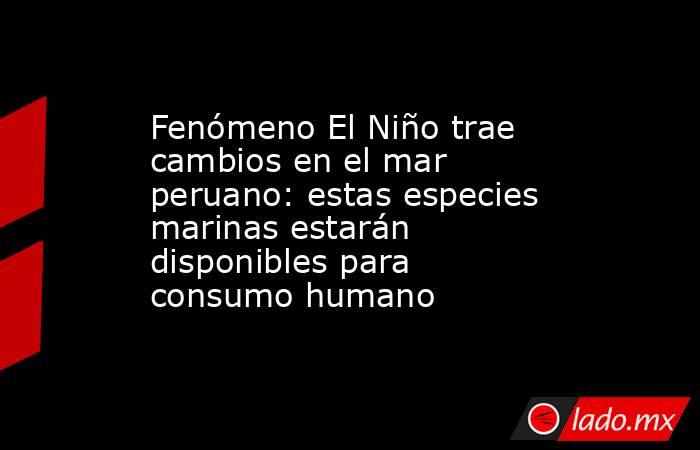 Fenómeno El Niño trae cambios en el mar peruano: estas especies marinas estarán disponibles para consumo humano. Noticias en tiempo real