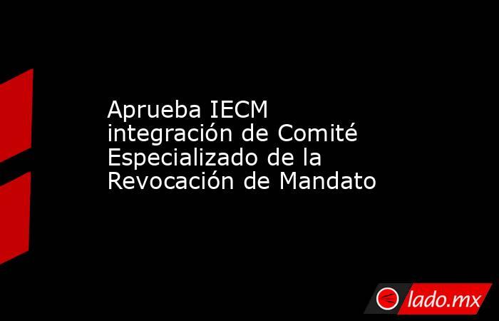 Aprueba IECM integración de Comité Especializado de la Revocación de Mandato. Noticias en tiempo real