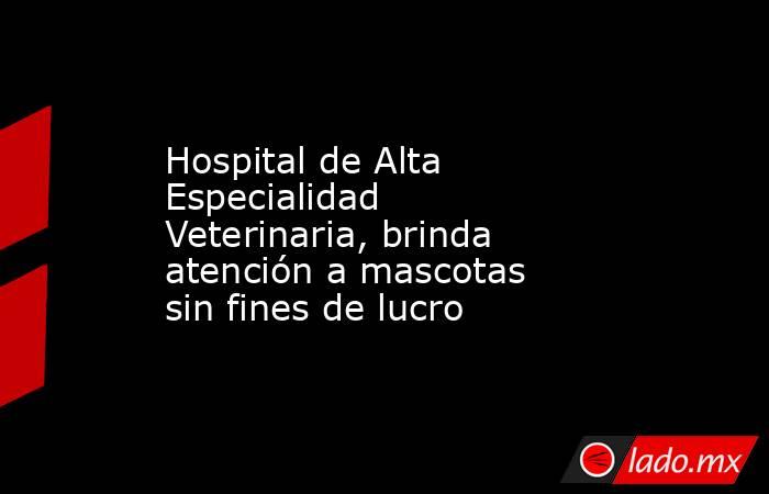 Hospital de Alta Especialidad Veterinaria, brinda atención a mascotas sin fines de lucro. Noticias en tiempo real