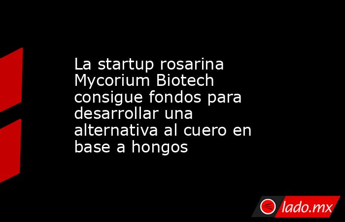 La startup rosarina Mycorium Biotech consigue fondos para desarrollar una alternativa al cuero en base a hongos. Noticias en tiempo real