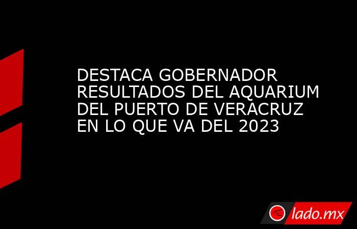 DESTACA GOBERNADOR RESULTADOS DEL AQUARIUM DEL PUERTO DE VERACRUZ EN LO QUE VA DEL 2023. Noticias en tiempo real