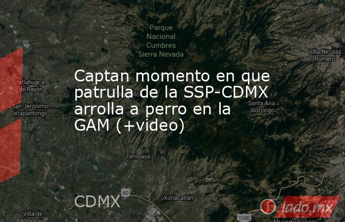 Captan momento en que patrulla de la SSP-CDMX arrolla a perro en la GAM (+video). Noticias en tiempo real