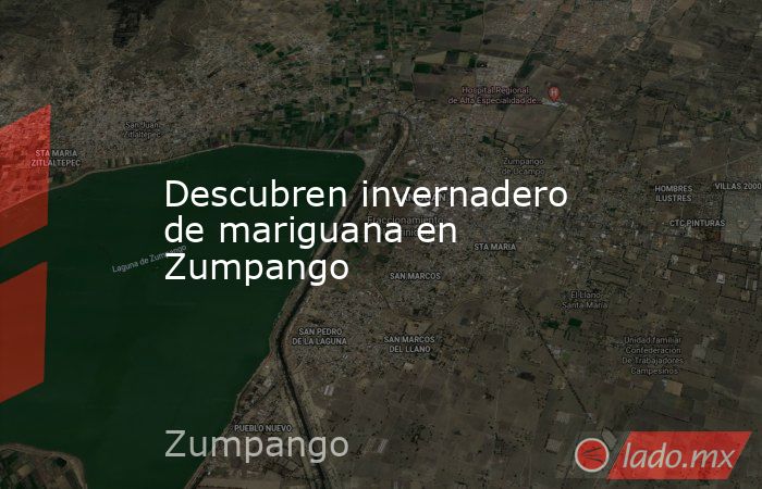 Descubren invernadero de mariguana en Zumpango. Noticias en tiempo real