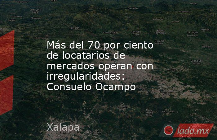 Más del 70 por ciento de locatarios de mercados operan con irregularidades: Consuelo Ocampo. Noticias en tiempo real