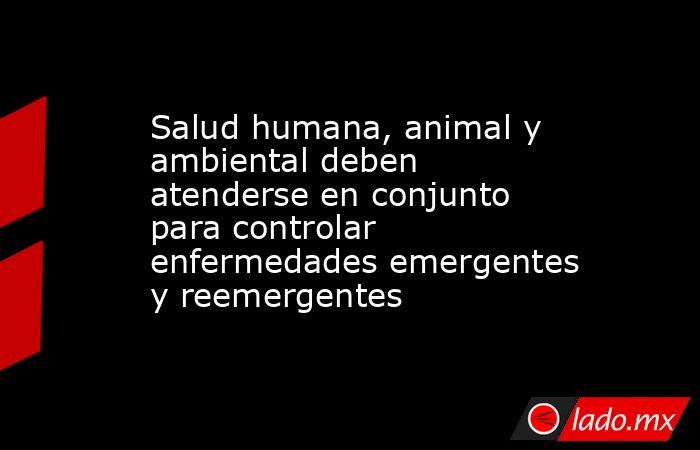 Salud humana, animal y ambiental deben atenderse en conjunto para controlar enfermedades emergentes y reemergentes. Noticias en tiempo real
