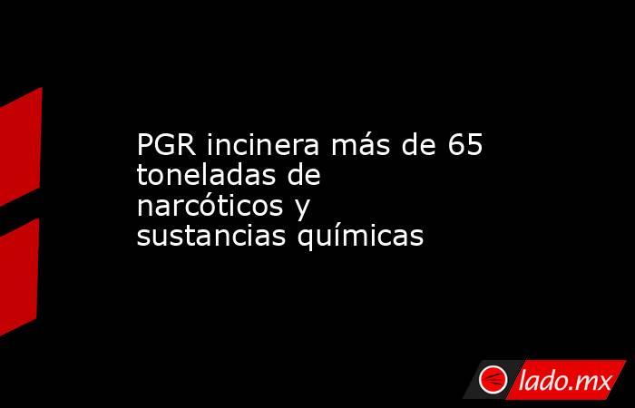 PGR incinera más de 65 toneladas de narcóticos y sustancias químicas. Noticias en tiempo real