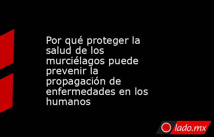 Por qué proteger la salud de los murciélagos puede prevenir la propagación de enfermedades en los humanos. Noticias en tiempo real