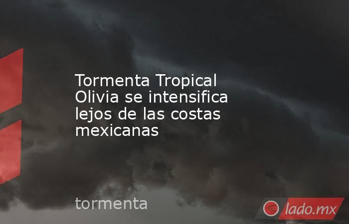 Tormenta Tropical Olivia se intensifica lejos de las costas mexicanas. Noticias en tiempo real