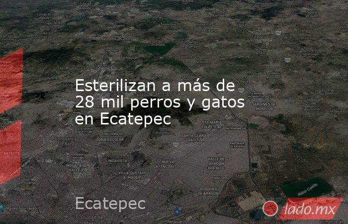 Esterilizan a más de 28 mil perros y gatos en Ecatepec. Noticias en tiempo real