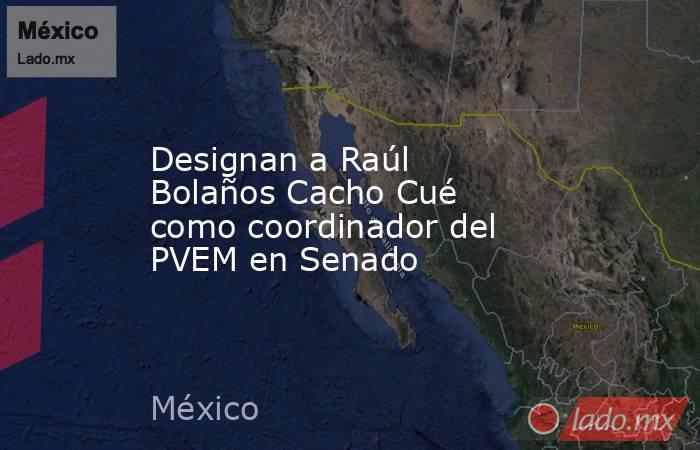 Designan a Raúl Bolaños Cacho Cué como coordinador del PVEM en Senado. Noticias en tiempo real