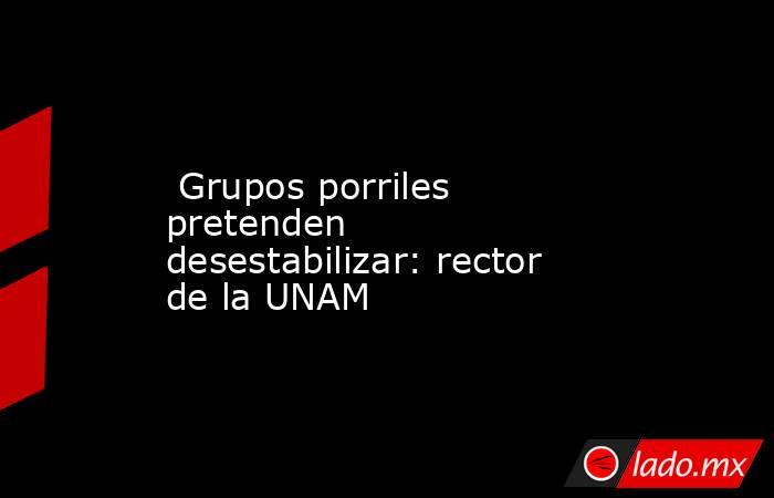  Grupos porriles pretenden desestabilizar: rector de la UNAM. Noticias en tiempo real