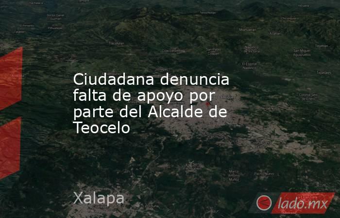 Ciudadana denuncia falta de apoyo por parte del Alcalde de Teocelo. Noticias en tiempo real