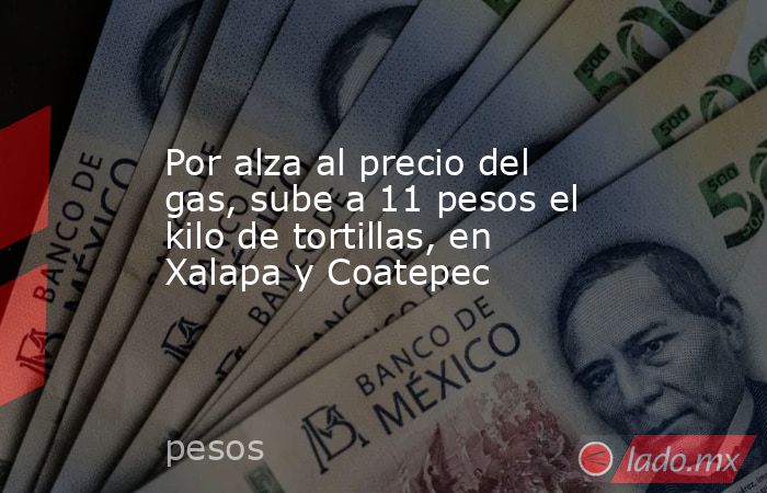 Por alza al precio del gas, sube a 11 pesos el kilo de tortillas, en Xalapa y Coatepec. Noticias en tiempo real