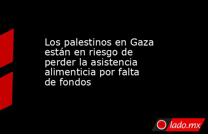 Los palestinos en Gaza están en riesgo de perder la asistencia alimenticia por falta de fondos. Noticias en tiempo real