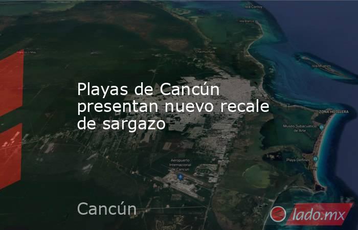 Playas de Cancún presentan nuevo recale de sargazo. Noticias en tiempo real