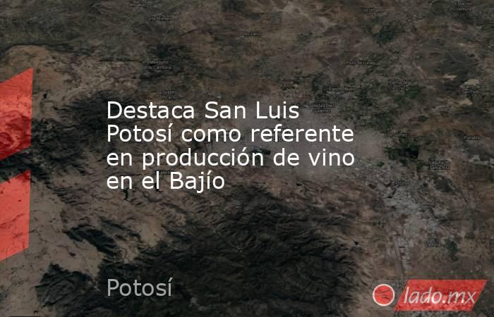 Destaca San Luis Potosí como referente en producción de vino en el Bajío. Noticias en tiempo real