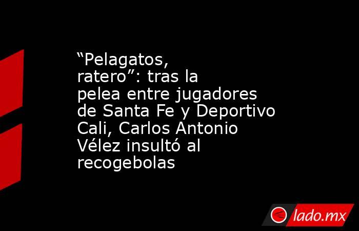 “Pelagatos, ratero”: tras la pelea entre jugadores de Santa Fe y Deportivo Cali, Carlos Antonio Vélez insultó al recogebolas. Noticias en tiempo real