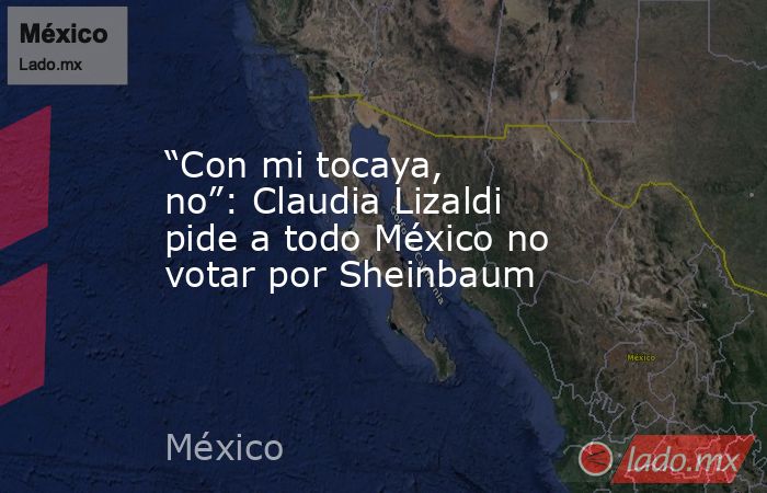 “Con mi tocaya, no”: Claudia Lizaldi pide a todo México no votar por Sheinbaum. Noticias en tiempo real