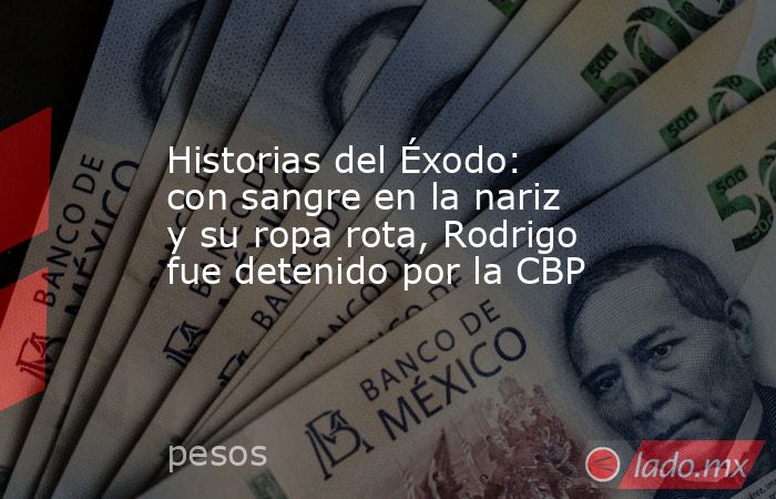 Historias del Éxodo: con sangre en la nariz y su ropa rota, Rodrigo fue detenido por la CBP. Noticias en tiempo real
