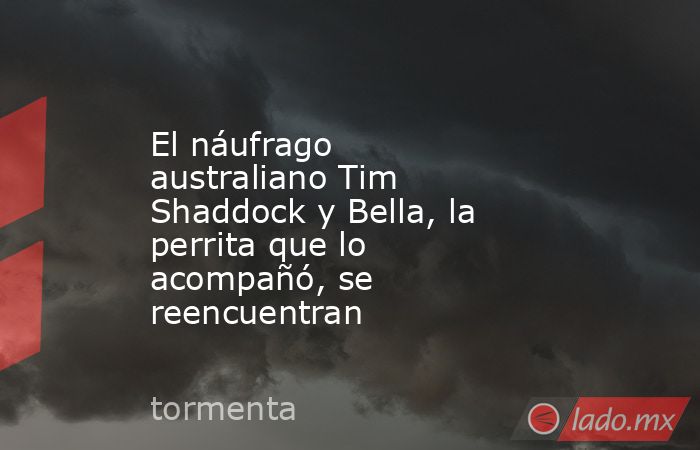 El náufrago australiano Tim Shaddock y Bella, la perrita que lo acompañó, se reencuentran. Noticias en tiempo real