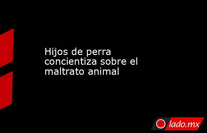 Hijos de perra concientiza sobre el maltrato animal . Noticias en tiempo real