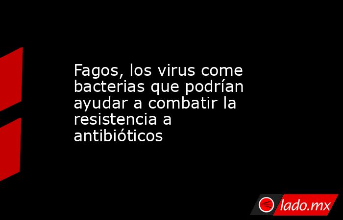 Fagos, los virus come bacterias que podrían ayudar a combatir la resistencia a antibióticos. Noticias en tiempo real