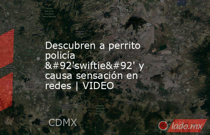 Descubren a perrito policía \'swiftie\' y causa sensación en redes | VIDEO. Noticias en tiempo real