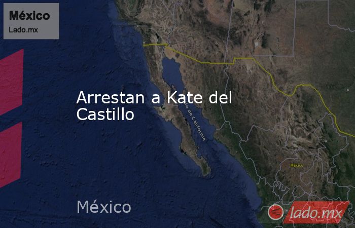 Arrestan a Kate del Castillo. Noticias en tiempo real