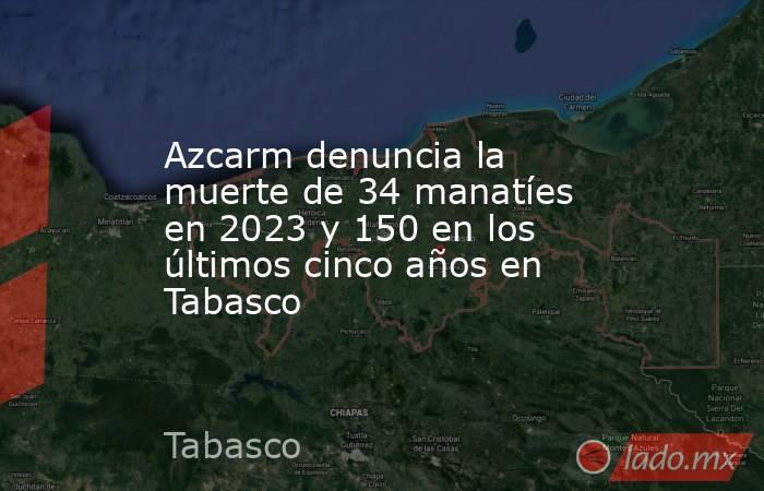 Azcarm denuncia la muerte de 34 manatíes en 2023 y 150 en los últimos cinco años en Tabasco. Noticias en tiempo real