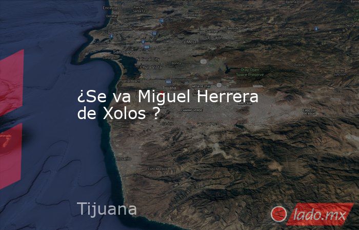 ¿Se va Miguel Herrera de Xolos ?. Noticias en tiempo real