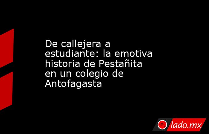 De callejera a estudiante: la emotiva historia de Pestañita en un colegio de Antofagasta. Noticias en tiempo real