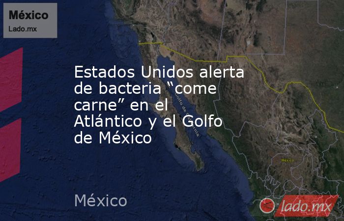 Estados Unidos alerta de bacteria “come carne” en el Atlántico y el Golfo de México. Noticias en tiempo real