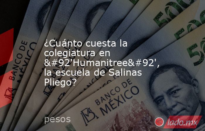 ¿Cuánto cuesta la colegiatura en \'Humanitree\', la escuela de Salinas Pliego?. Noticias en tiempo real