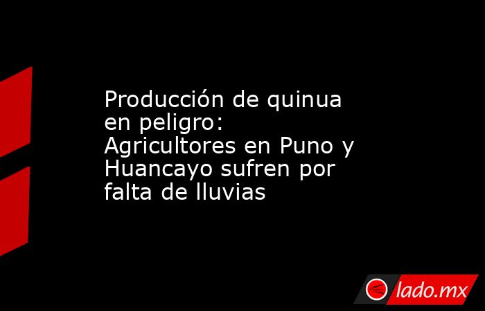 Producción de quinua en peligro: Agricultores en Puno y Huancayo sufren por falta de lluvias. Noticias en tiempo real