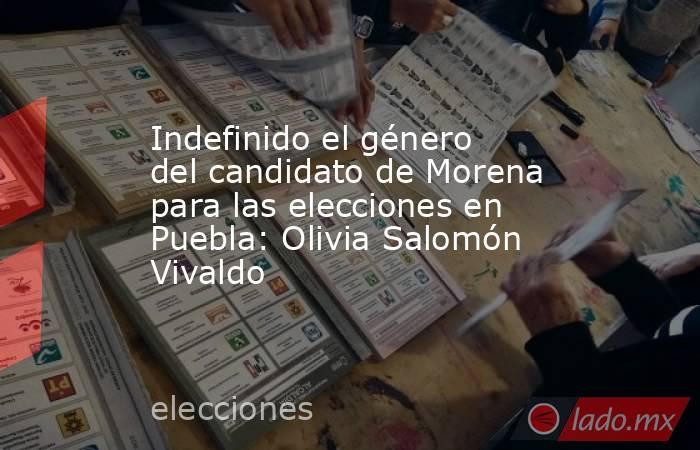Indefinido el género del candidato de Morena para las elecciones en Puebla: Olivia Salomón Vivaldo. Noticias en tiempo real