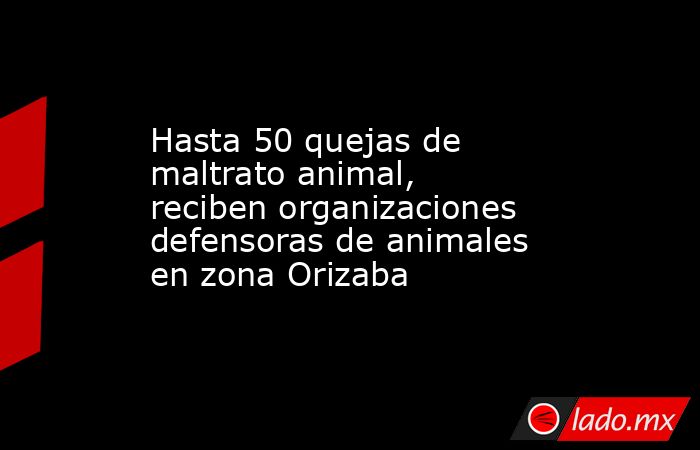 Hasta 50 quejas de maltrato animal, reciben organizaciones defensoras de animales en zona Orizaba. Noticias en tiempo real