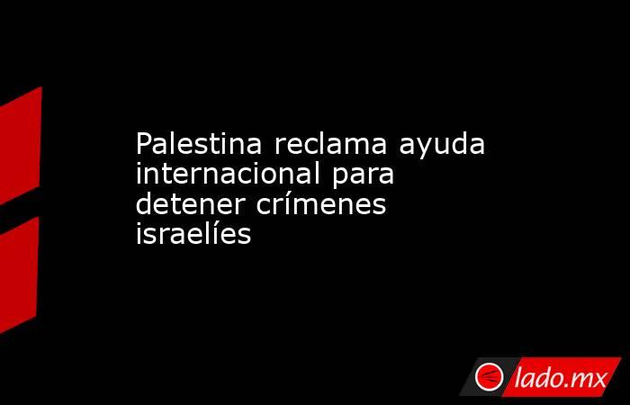 Palestina reclama ayuda internacional para detener crímenes israelíes. Noticias en tiempo real