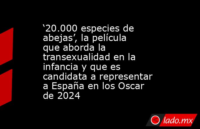 ‘20.000 especies de abejas’, la película que aborda la transexualidad en la infancia y que es candidata a representar a España en los Oscar de 2024. Noticias en tiempo real